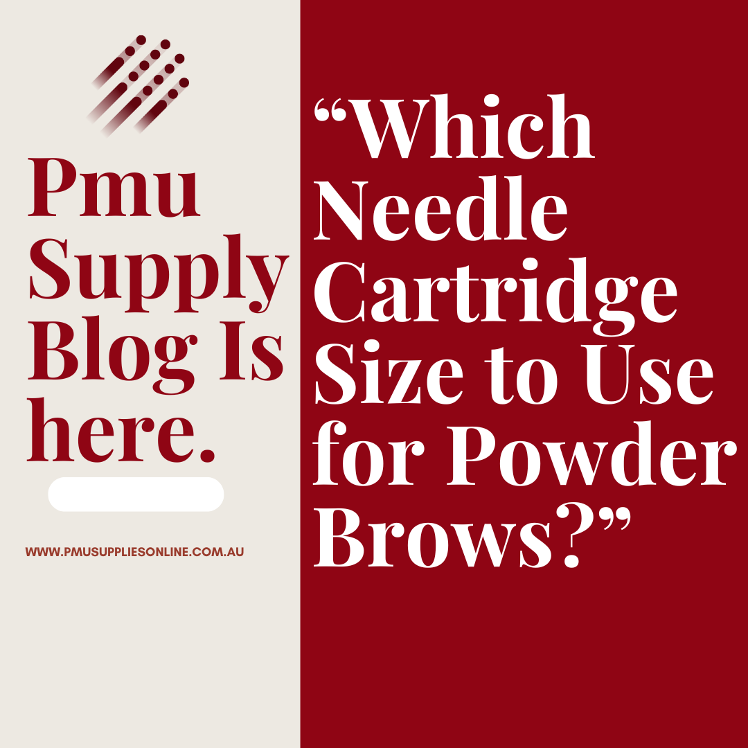 Which Needle Cartridge Size to Use for Powder Brows?