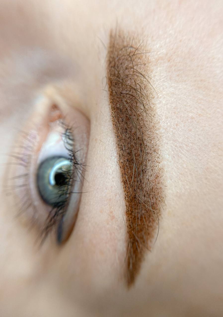 Close-up of a person's eye with a well-defined eyebrow