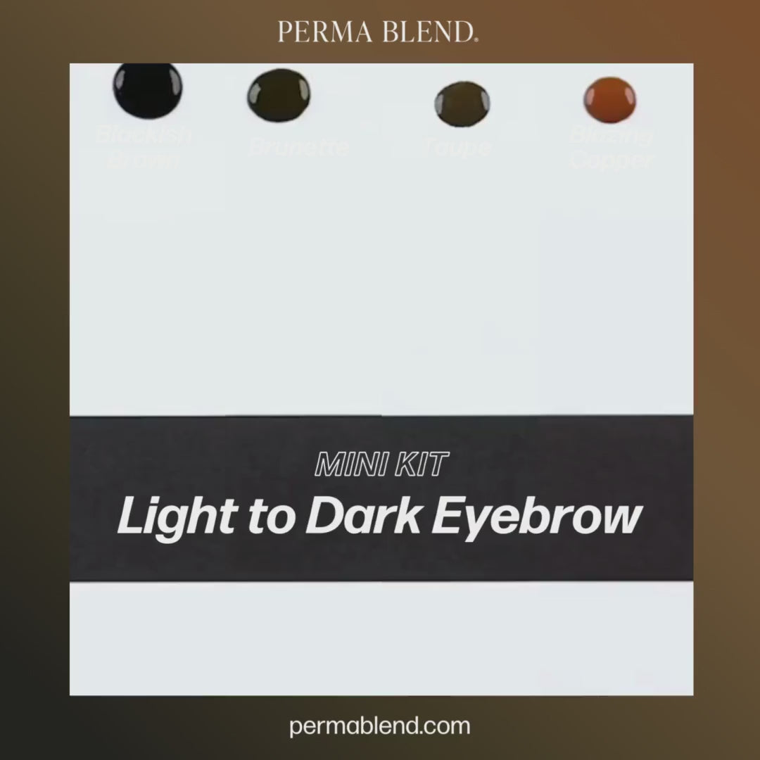 perma-blend-mini-kit-dark-to-light-eyebrow_jpg